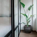 Olivia Flat 1 卡拉马塔