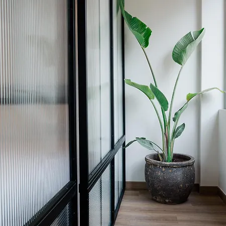 Olivia Flat 1 칼라마타