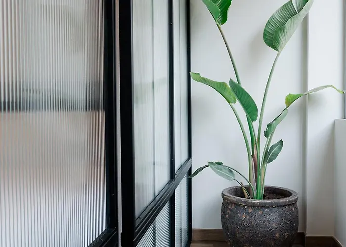 Olivia Flat 1 Kalamata